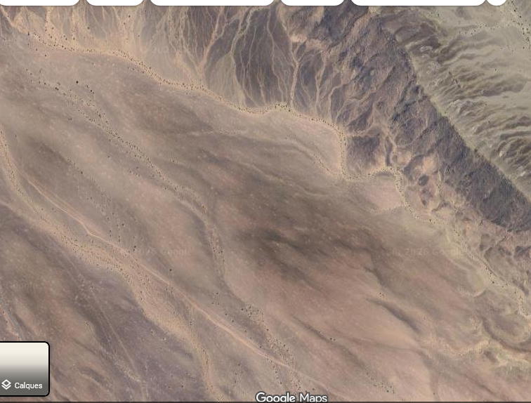 benamar ADAM tweet media