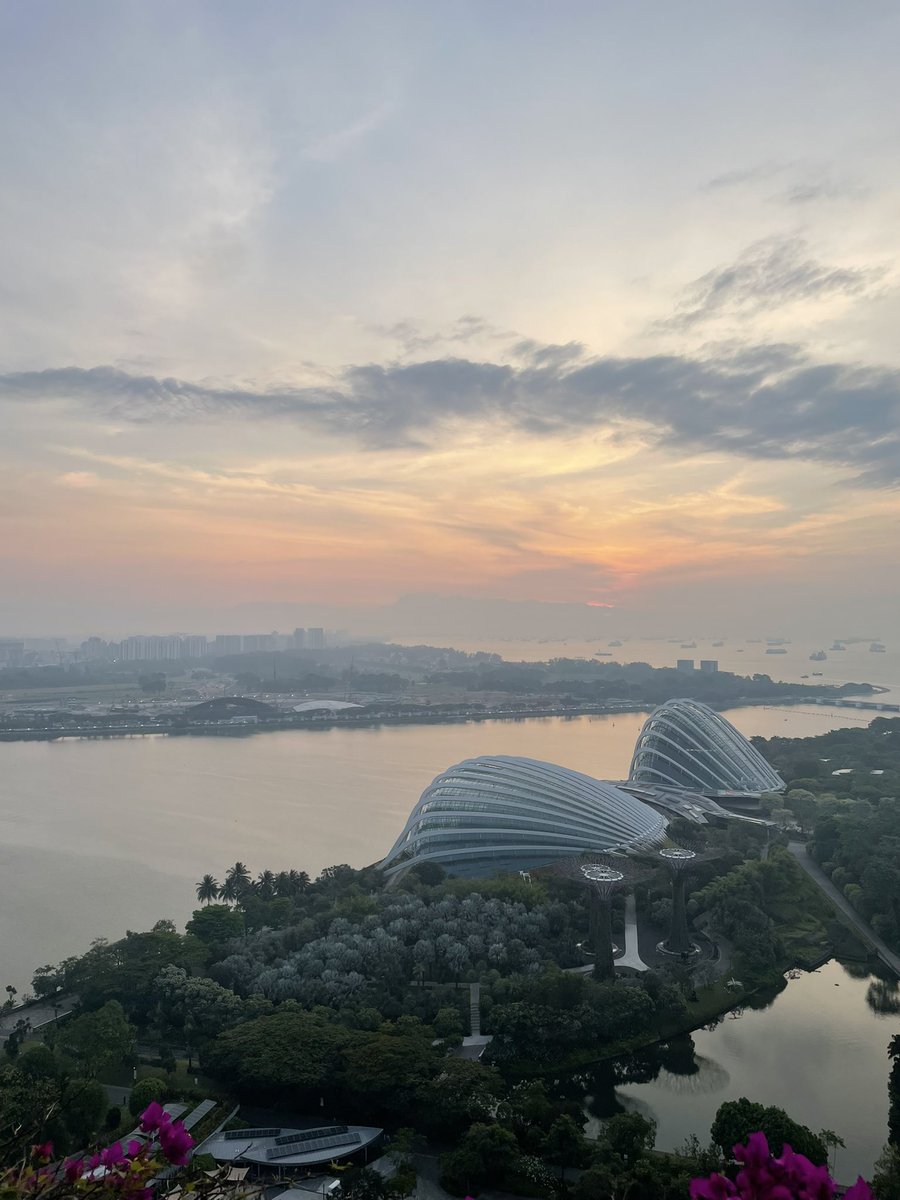 マネリテちゃん｜お金のはなし tweet media