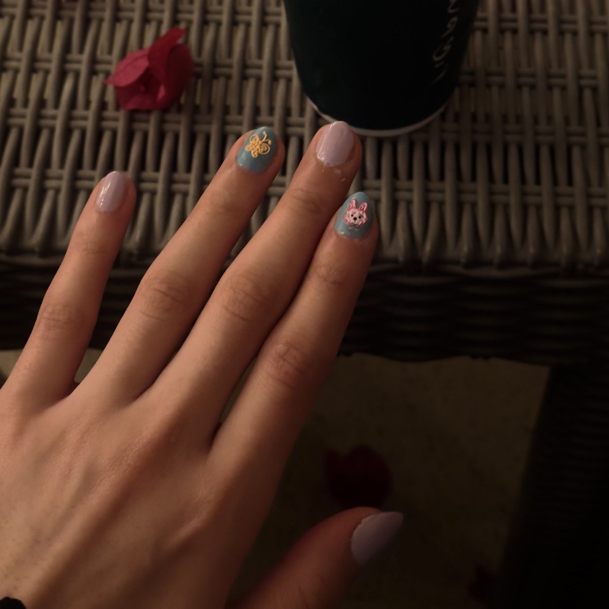 زَهْــراء tweet media