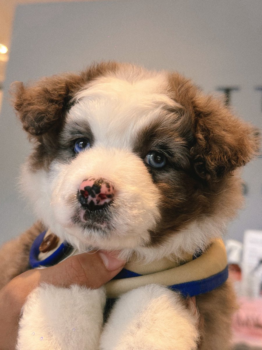 Rjames ๐ซถ๐พ๐ป ๐ tweet media