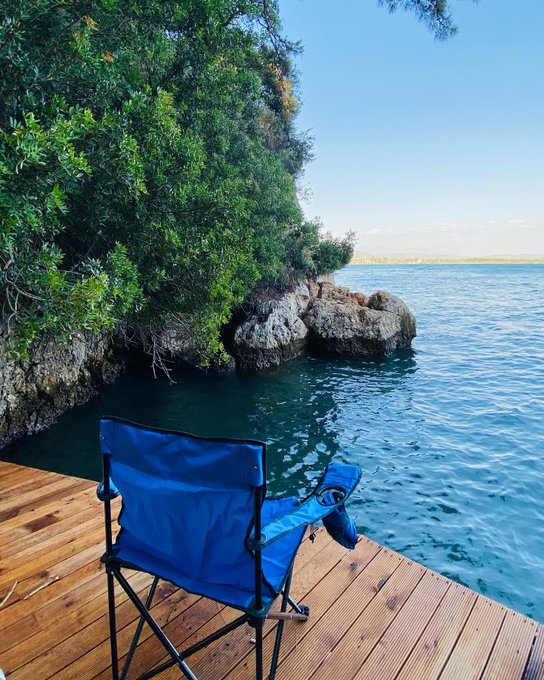 ben deniz tweet media