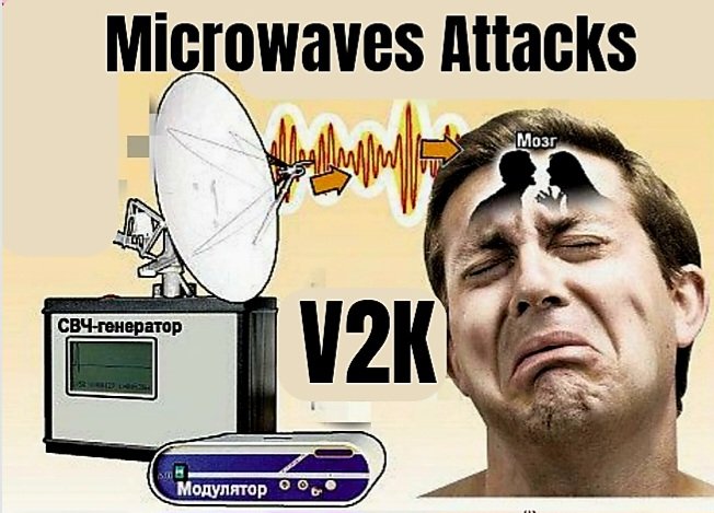 lola 🇮🇷 tweet media