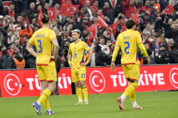 Alex Scout tweet media