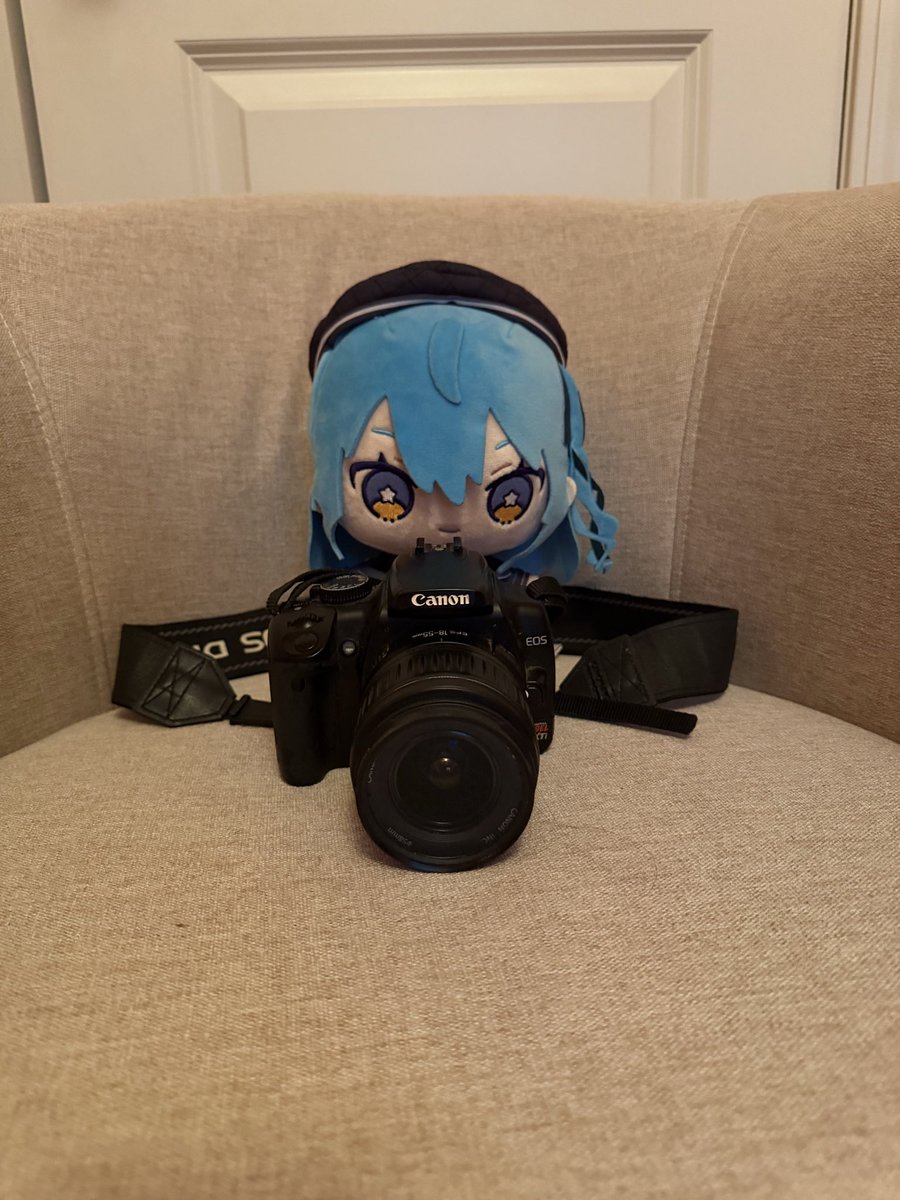 Matcha☄️|🐚|🎀💌 tweet media