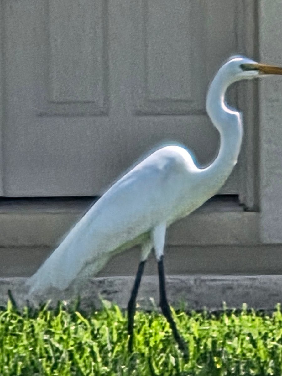 MOMof DataRepublican tweet media