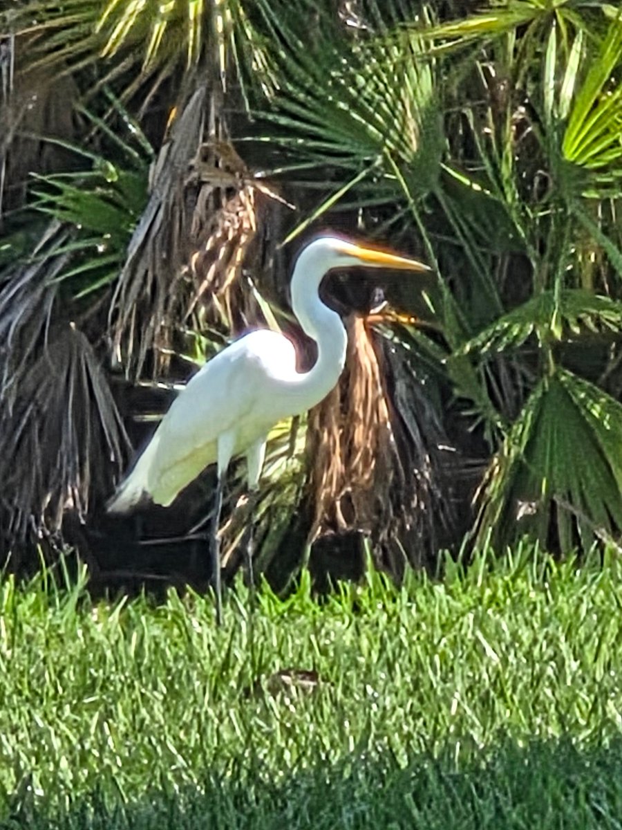 MOMof DataRepublican tweet media