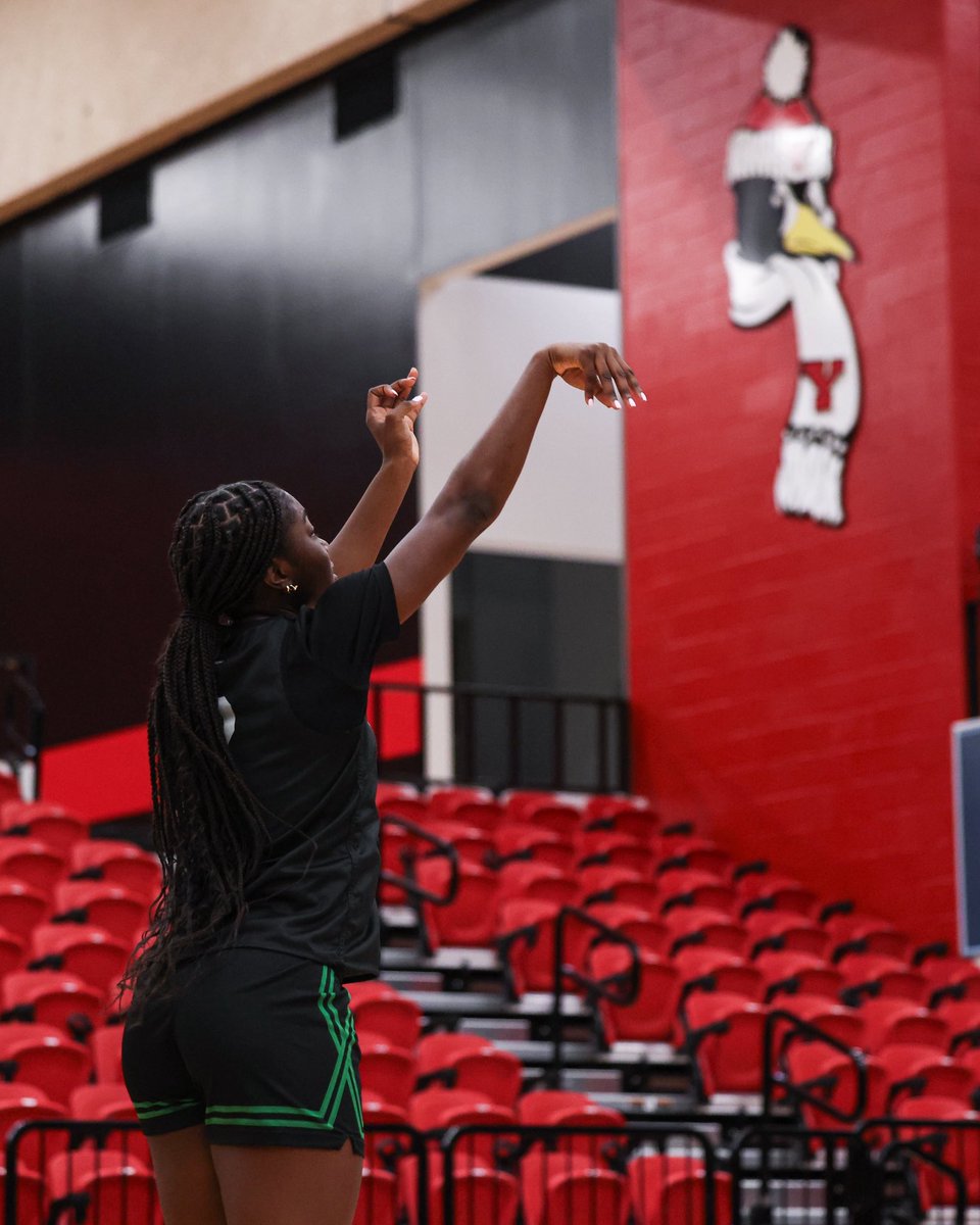 Marshall Women's Basketball tweet media