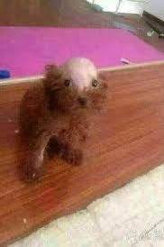 🔞🎄~OscarPro53~🎄🔞 tweet media