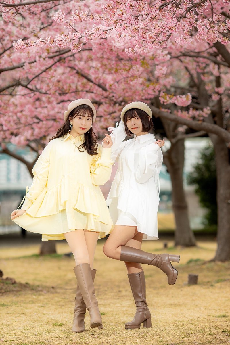 佐野小波🐾赤髪 tweet media