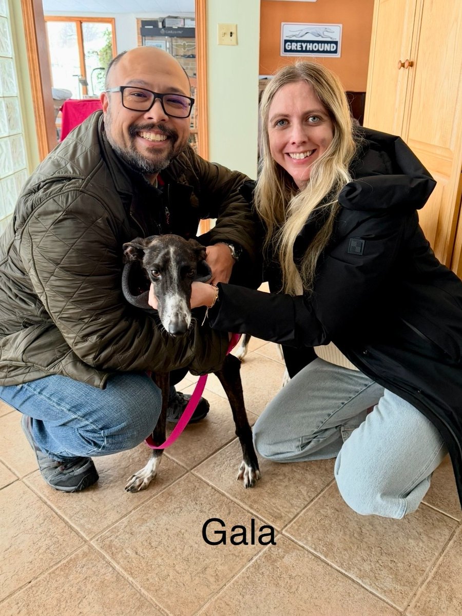 SPCA International tweet media