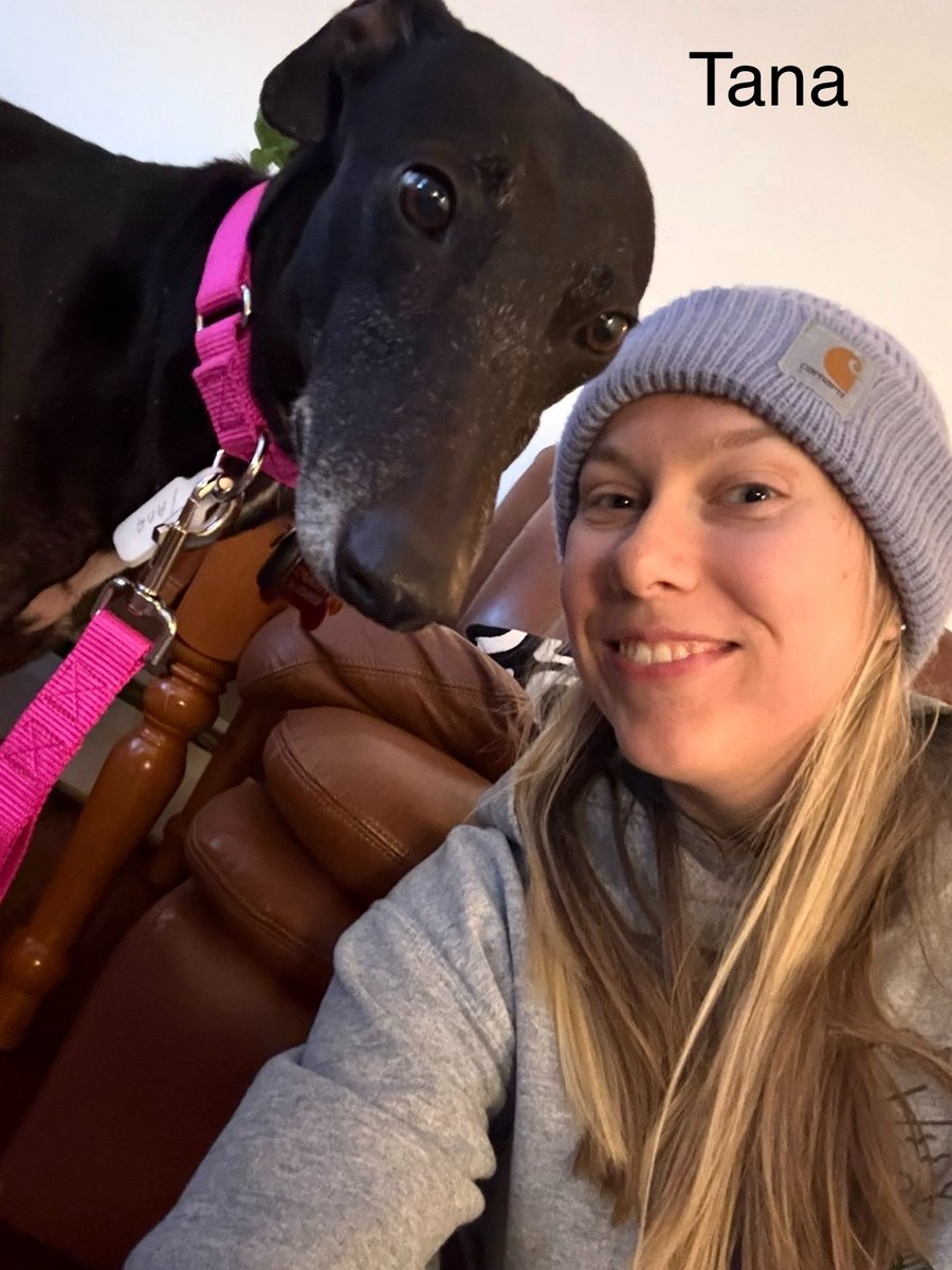 SPCA International tweet media