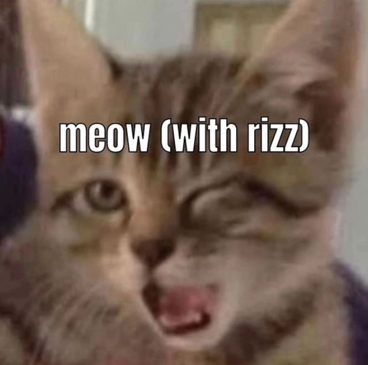 MinWoof3's tweet photo. @AshholeAD https://t.co/zjoSVv2L9S