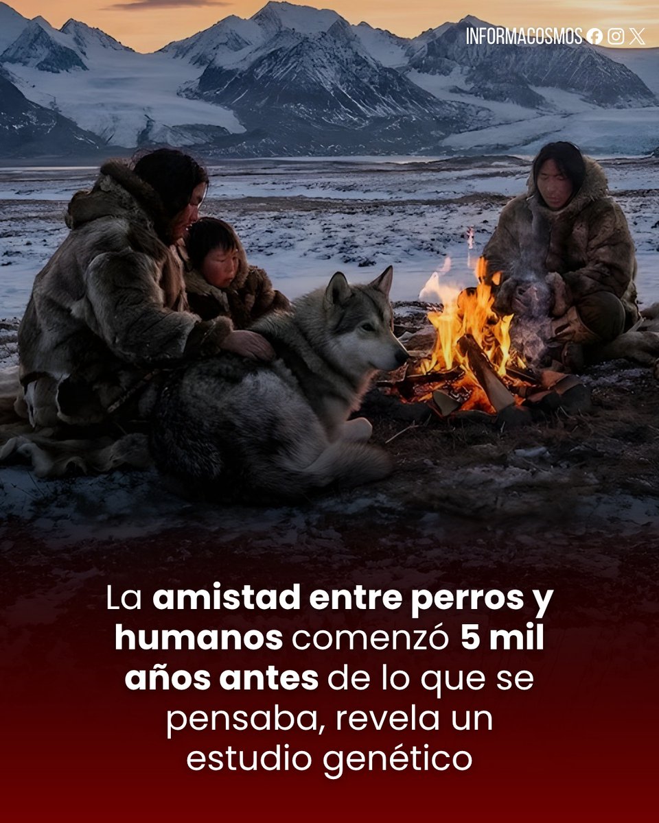 Informa Cosmos tweet media