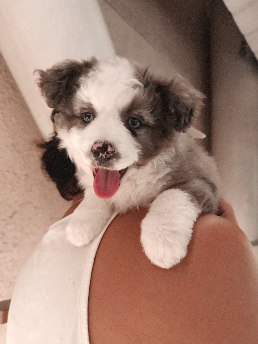 Rjames ๐ซถ๐พ๐ป ๐ tweet media