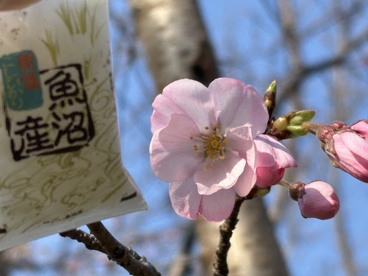 🌾米袋のマルタカ【公式】 tweet media