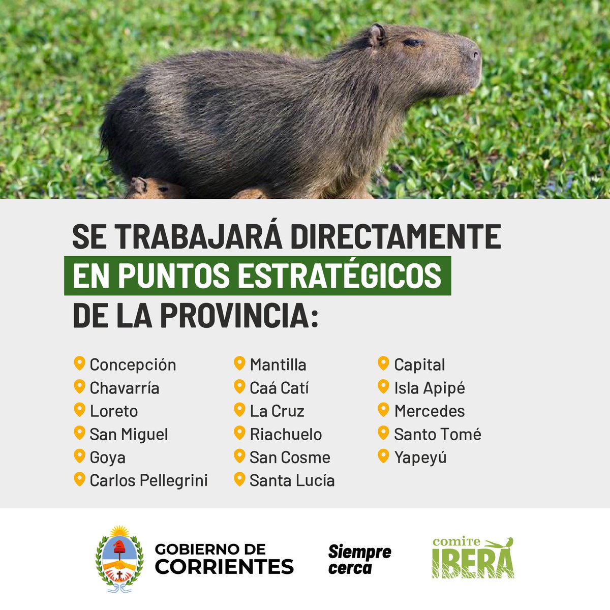 Gobierno de Corrientes tweet media