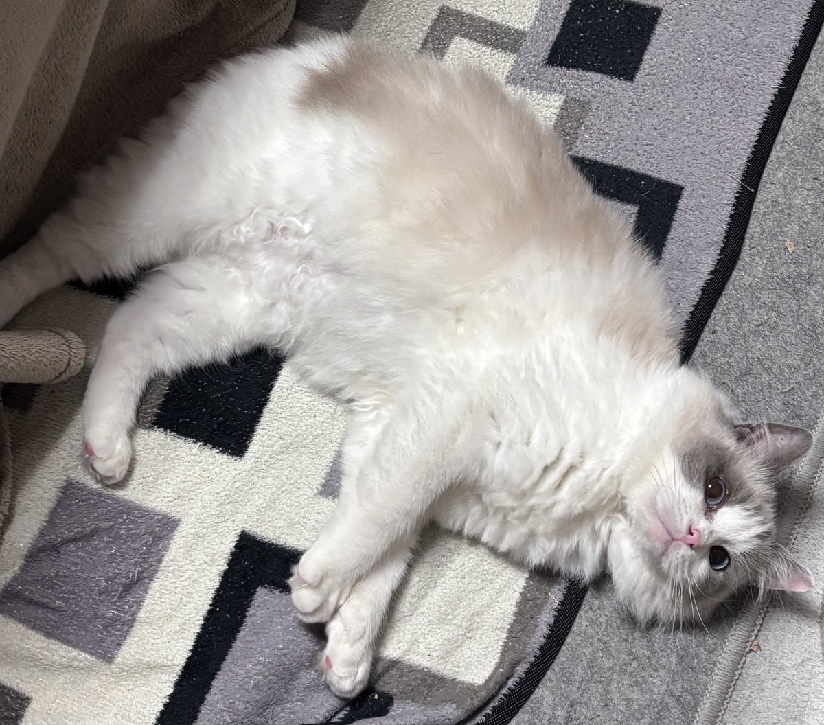 つかさ tweet media