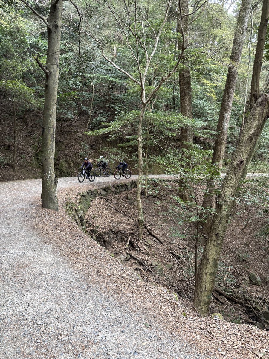 走れさかもと tweet media