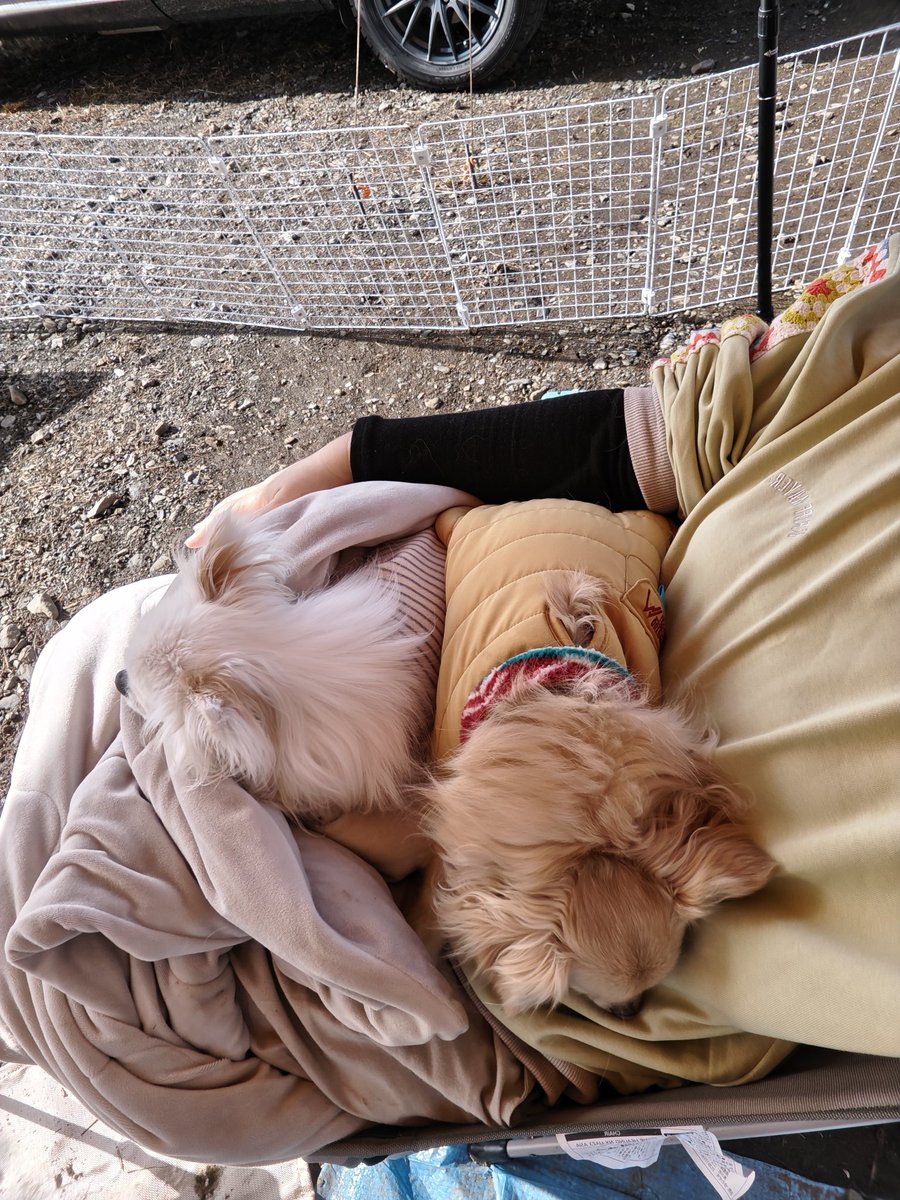 ルカとアト tweet media