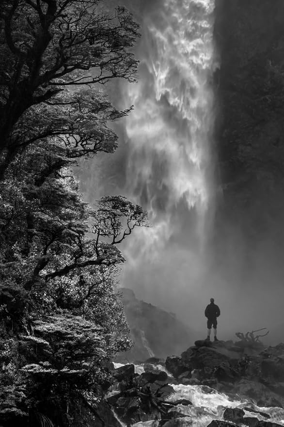 Frederick Dodson tweet media