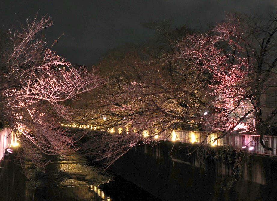 乙城蒼无(Aomu Otsushiro) tweet media