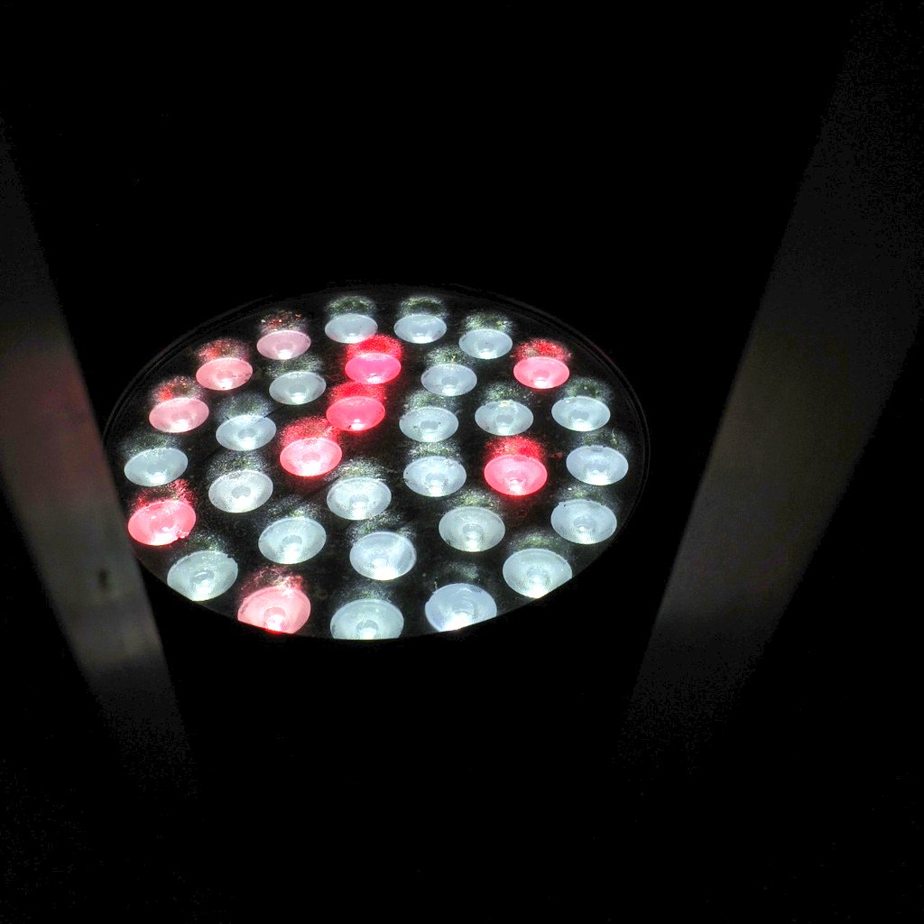 乙城蒼无(Aomu Otsushiro) tweet media