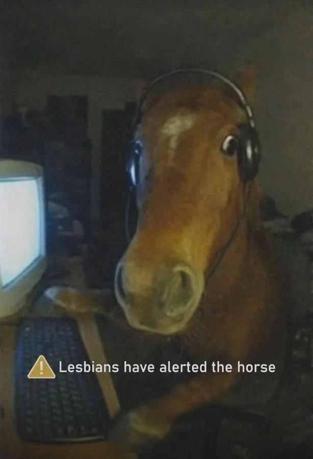 『Mr.Fizz』 tweet media