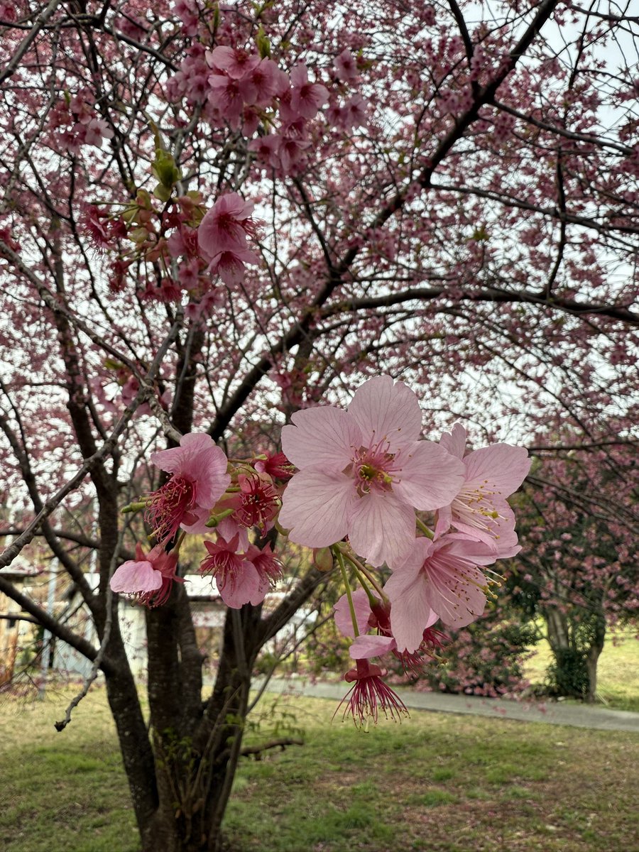 水瀬まなみ tweet media