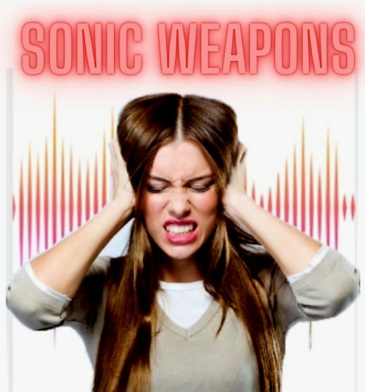 lola 🇮🇷 tweet media