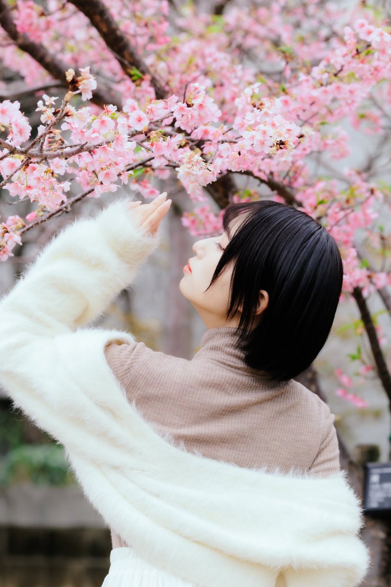 涼白 ましろ໒꒱ 🐾6/13-14個展 tweet media