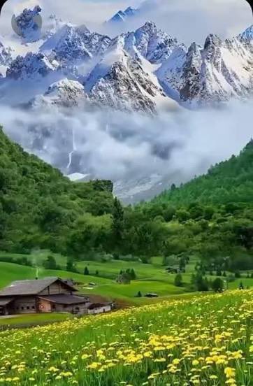 💎حليمة آل عقيل🇸🇦💙معربة الجدين شريفة النسب tweet media