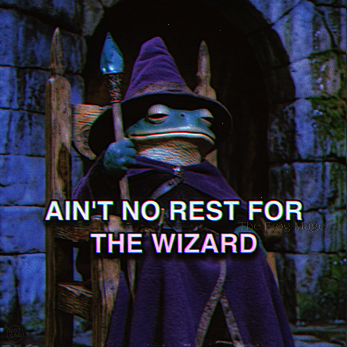 The Frog Mage tweet media