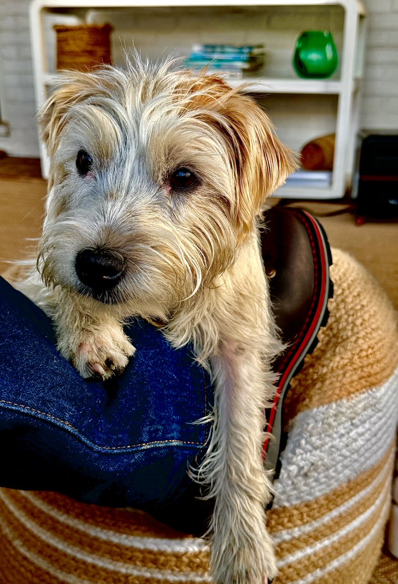 Vinnie Tortorich tweet media