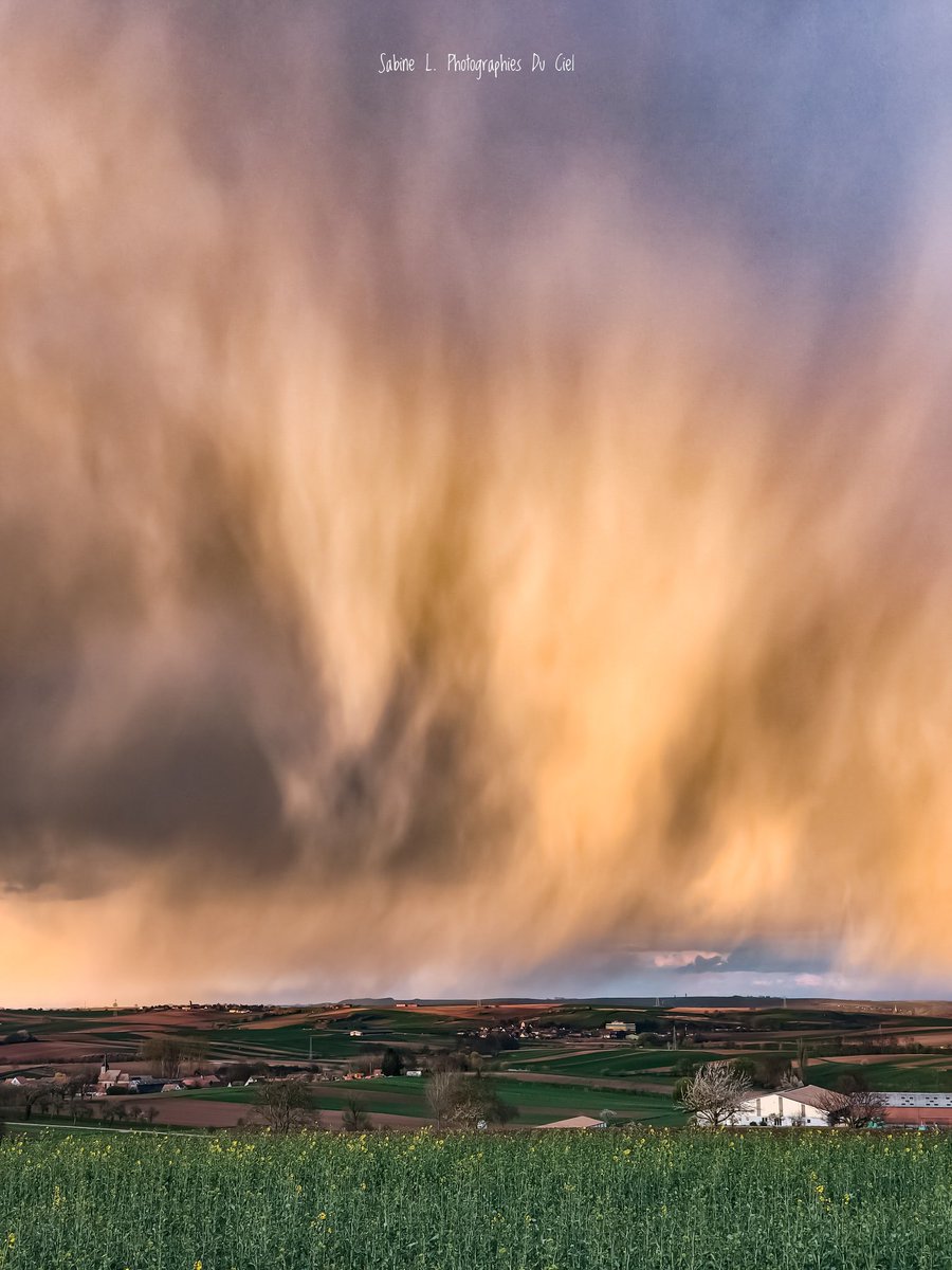 SabineL67's tweet photo. De nombreuses giboulées ont encore traversé le Bas-Rhin aujourd'hui... La plus jolie fut celle au soleil couchant en direction du Nord de l'Alsace !! 
📷 #Zehnacker (67) • 26/03/2026
#Wasselonne 

#Alsace #BasRhin #Météo #Météo67 #giboulées https://t.co/ipAr9oEnEf
