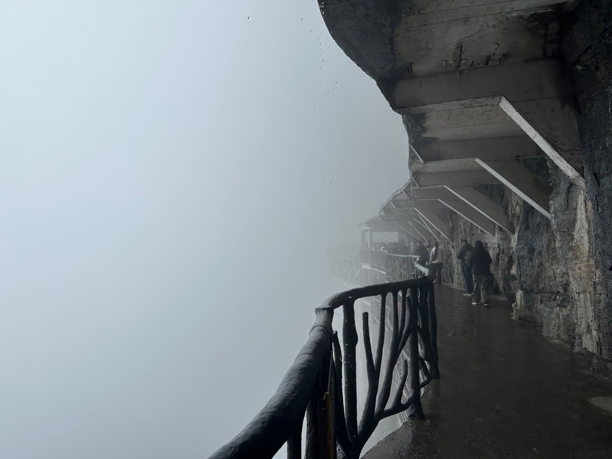 rui skrunkle🟥 tweet media