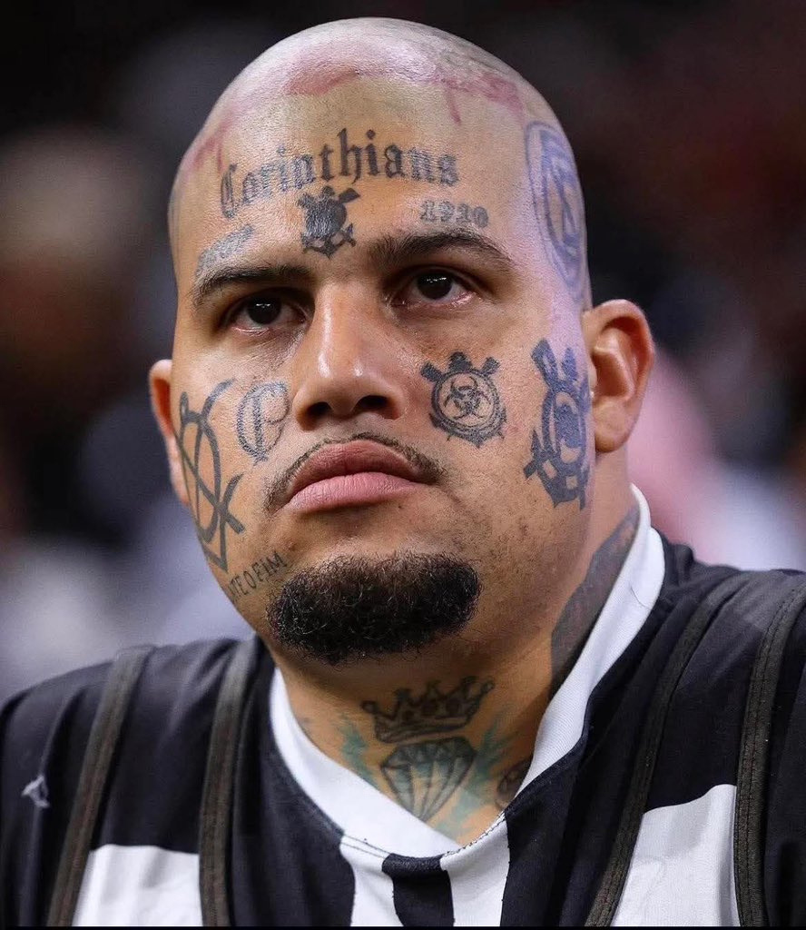 SCCPA͞nne tweet media