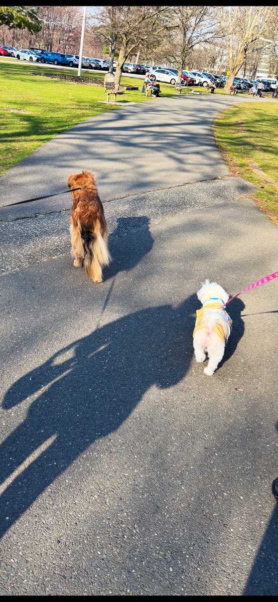 Kim Hayden Billy & 😇 Dusty & Carly🐣🐰🌻♥️🐾🌸 tweet media