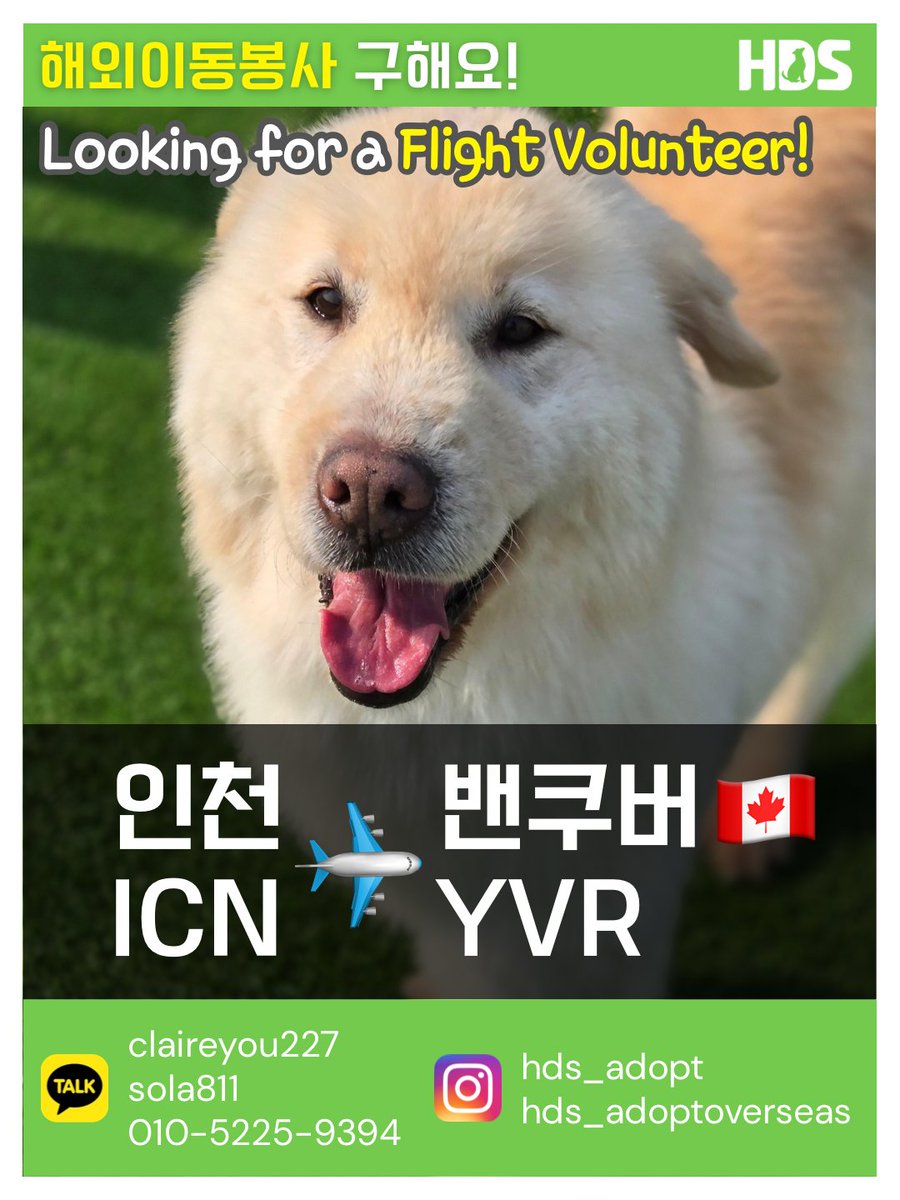 행동하는동물사랑(HaengDongSa) tweet media