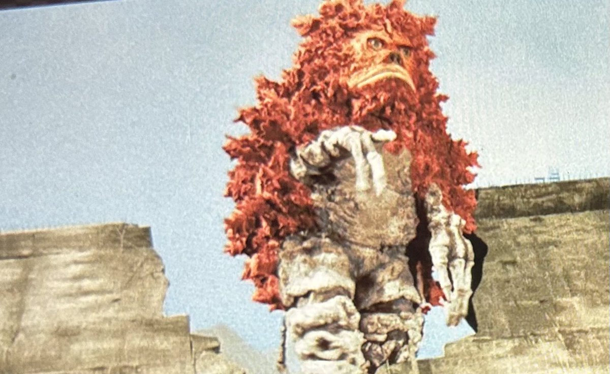 桜井浩子 tweet media