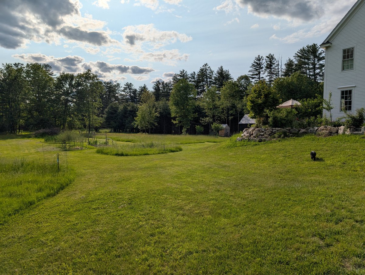 Simon Sarris tweet media