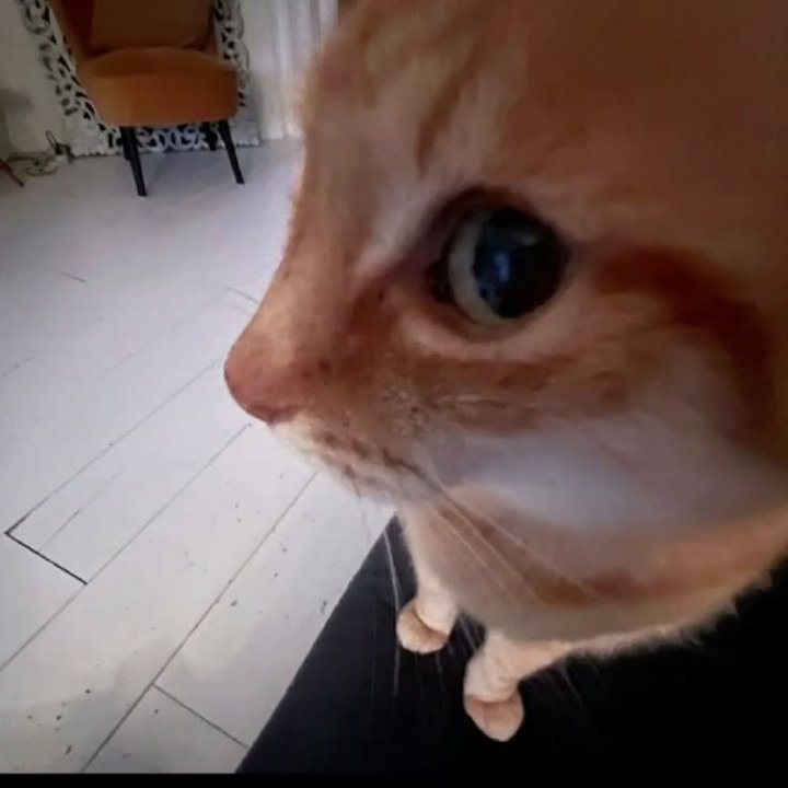 ᴅɪsᴄɪᴘʟᴇ⚡ tweet media