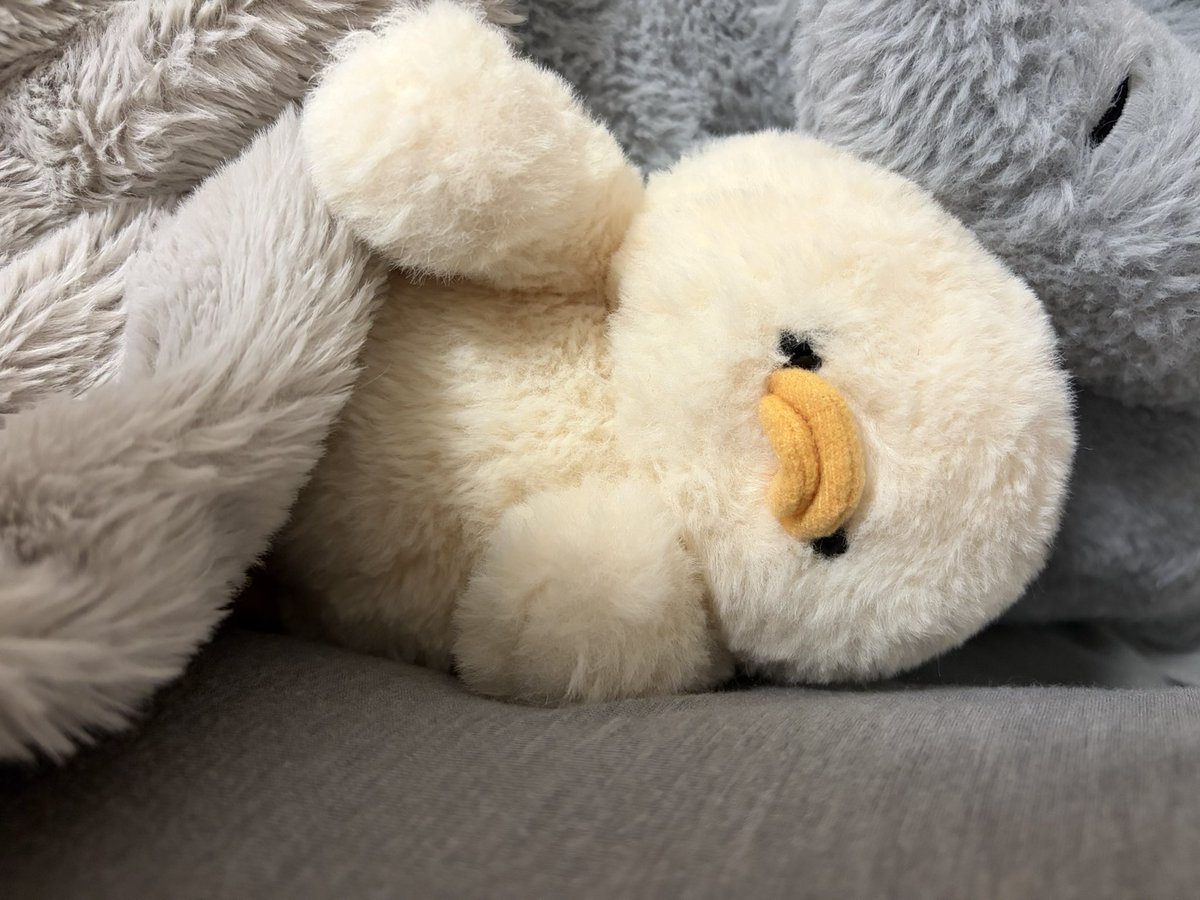 ぽーとウパㇱとごまぞう tweet media