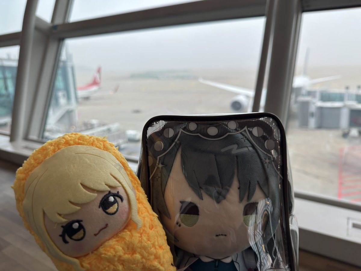 イオルフ🍀 tweet media