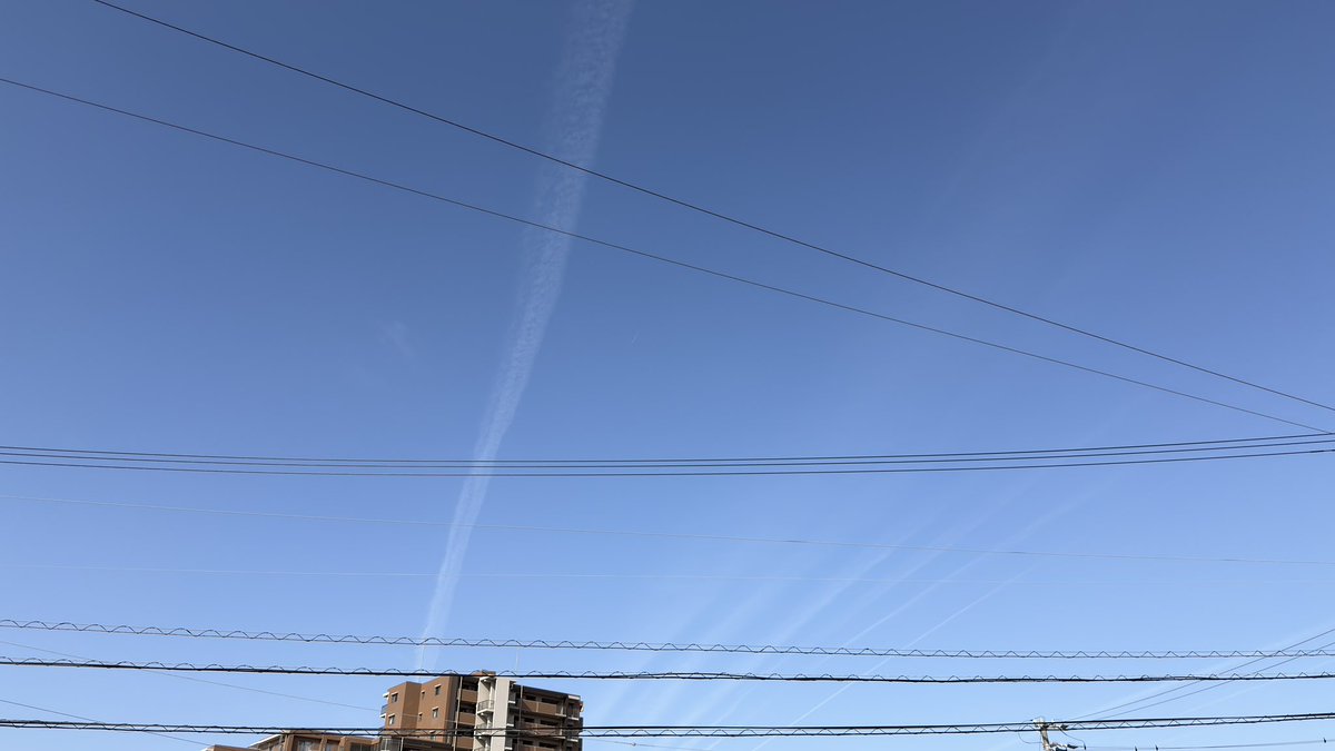 ノリーポッター tweet media