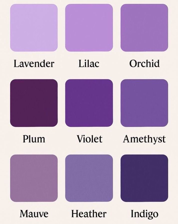 violet✧*｡ tweet media