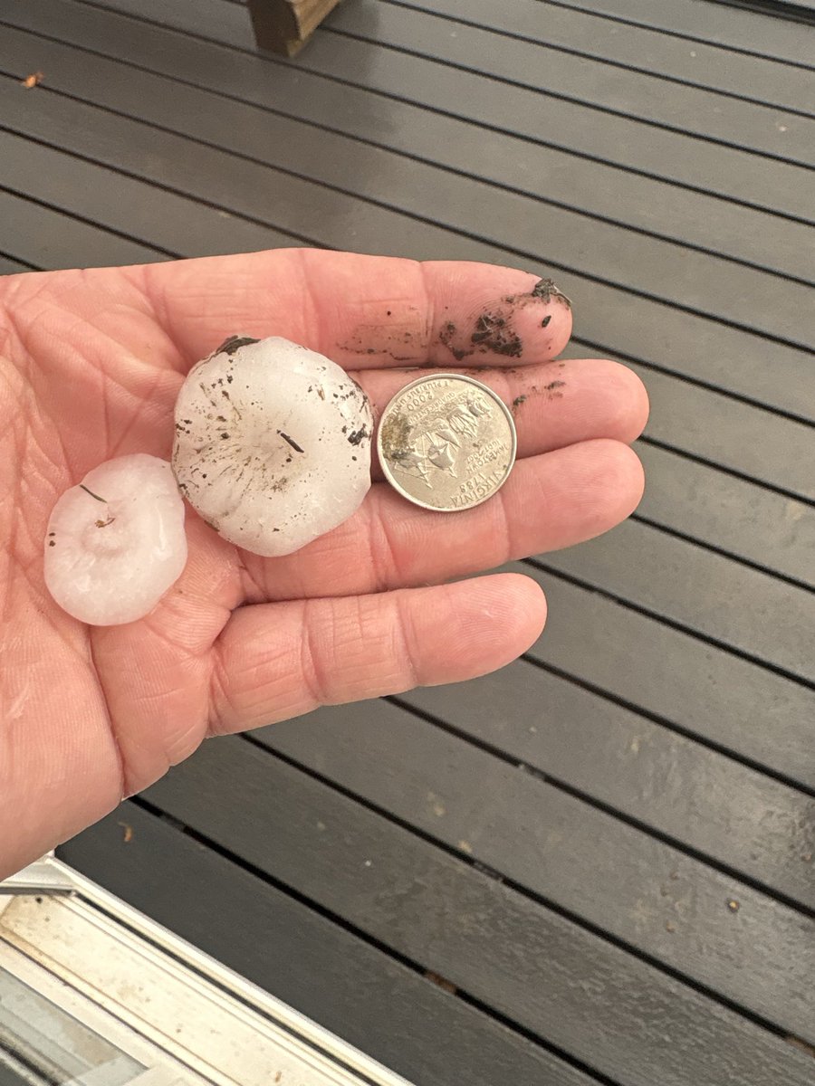 Let’s Go! tweet media