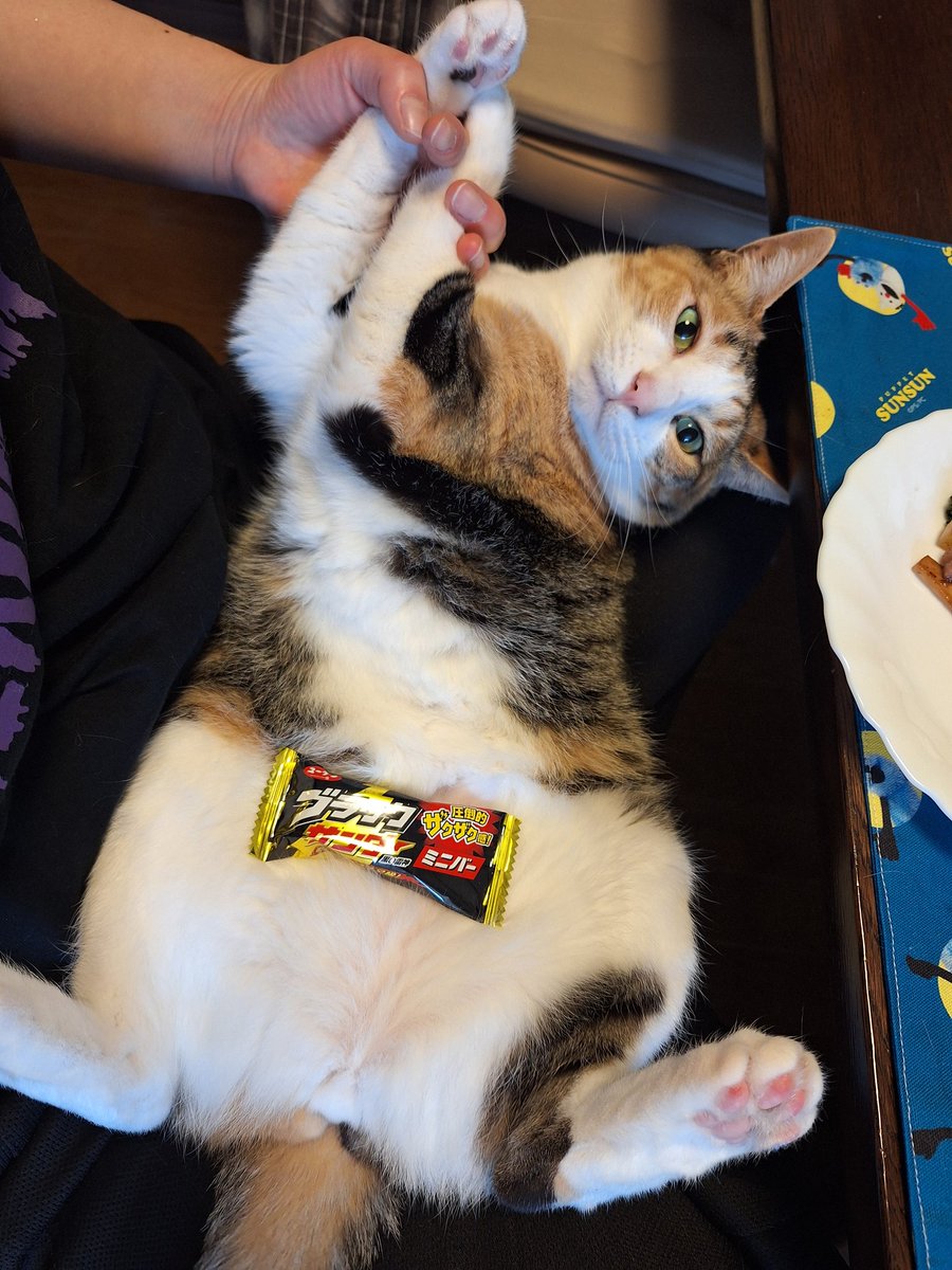 にこちゃまちゃんぬる tweet media