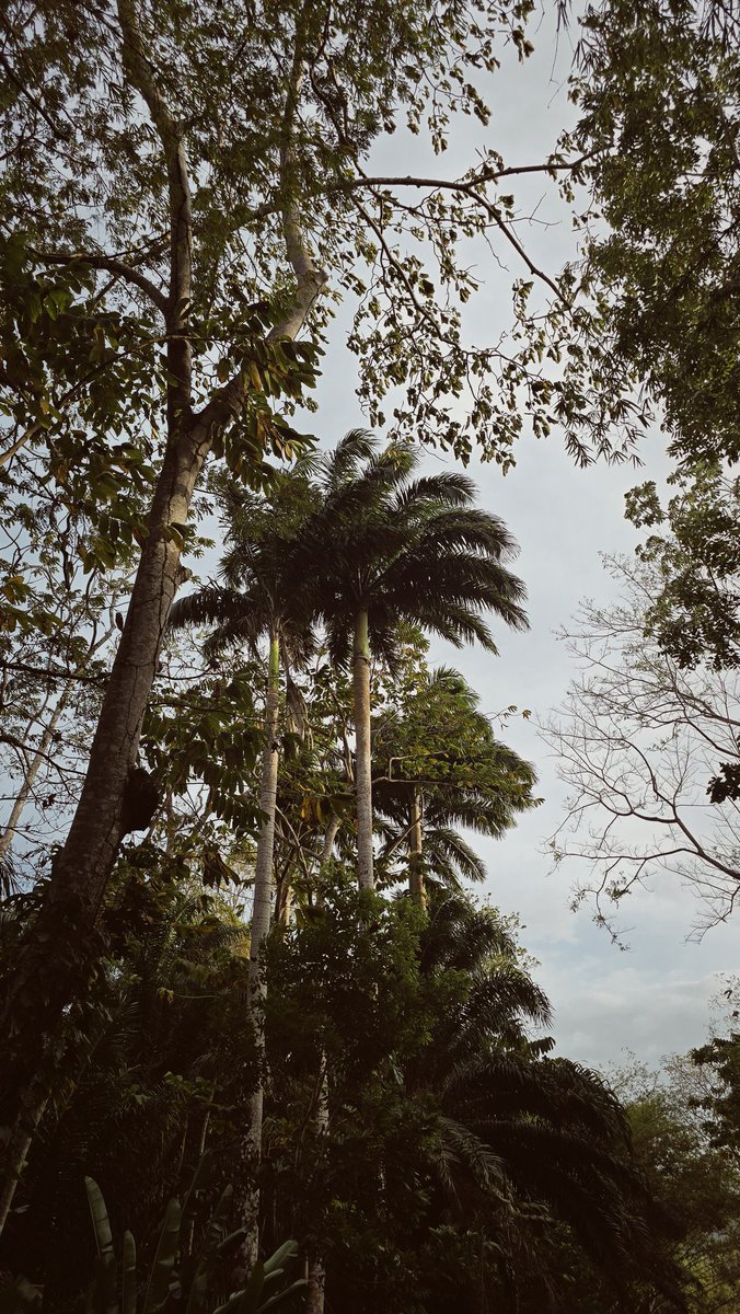 Nicholas Walker tweet media