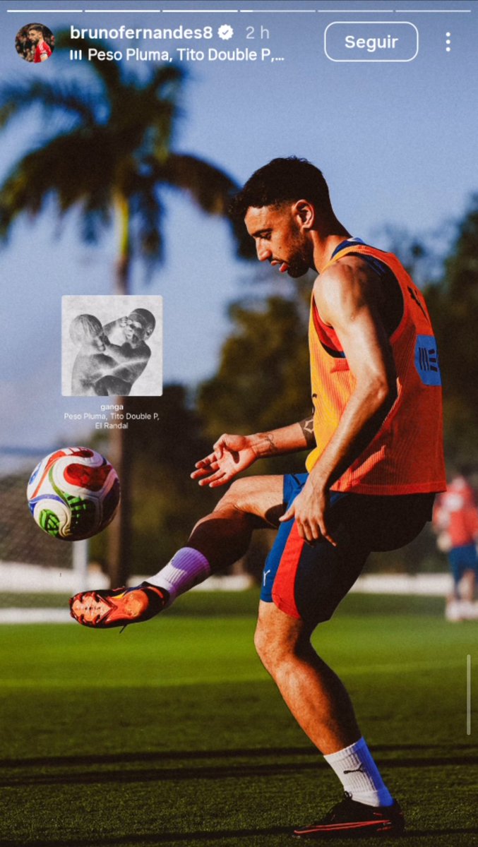 SOLICITADO tweet media