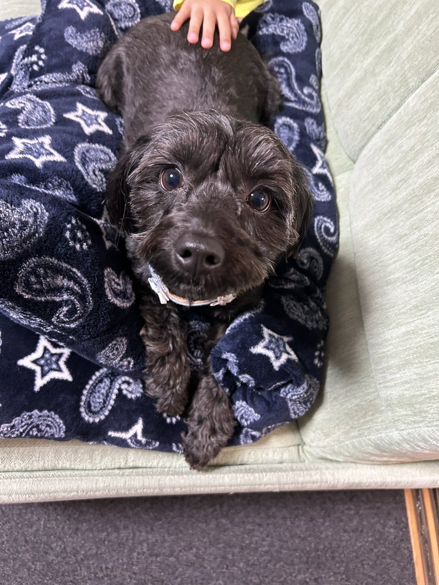 メロママ🟢🍉🪰 tweet media